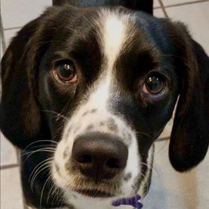 Meet your Posher, Katelyn